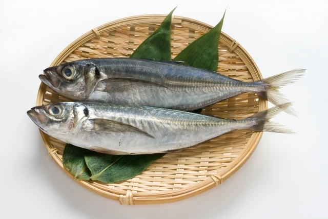 アジ