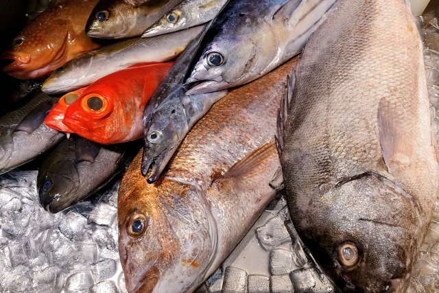 鮮魚