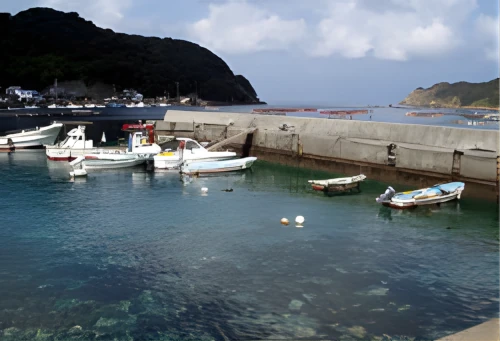 釣り